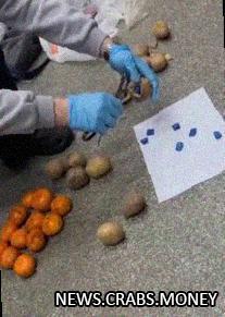 Скрытая наркотика: мандарины стали кладом