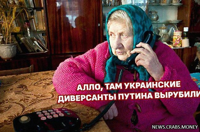 Электрики отказали пенсионеркам: прямая линия с Путиным не среди работы