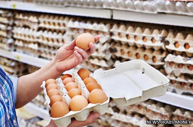Скоро в Россию поступят турецкие яйца без пошлины