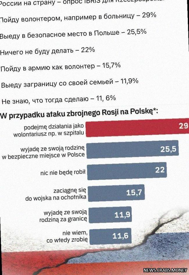 Малая готовность поляков к защите страны от РФ