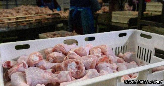 Куриное мясо станет дешевле: правительство обнулило пошлины