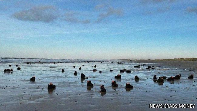 Тысячи ботинок на пляжах Дании из-за шторма Пиа