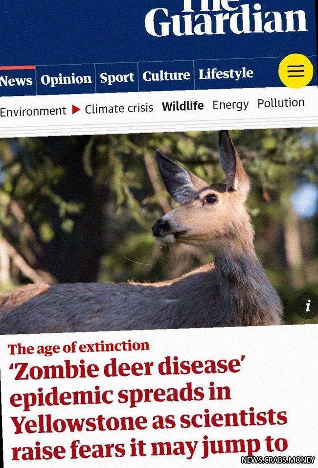Ученые предупреждают: зомби-вирус настигает оленей в США и может перейти на людей