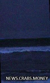 Магия океана: светящиеся волны у пляжей Калифорнии