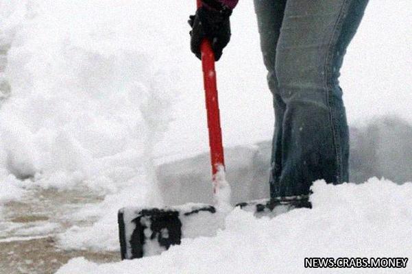 Совместное спасение от снегопада: россияне помогут дворникам