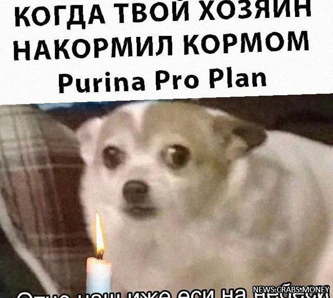 Корм Purina Pro Plan подозревают в отравлении собак