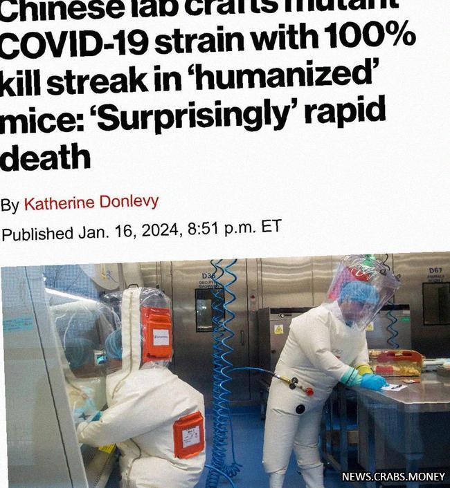 Китайские ученые создали смертоносный коронавирус, вызывающий массовую гибель грызунов.