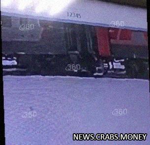 Пассажирам грозит проблемы: проводница выбросила кота из поезда во время стоянки в Кирове