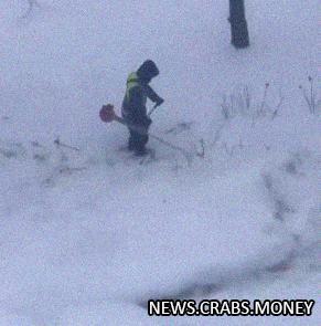 Коммунальщик в Петербурге вышел косить траву в метель вместо снега