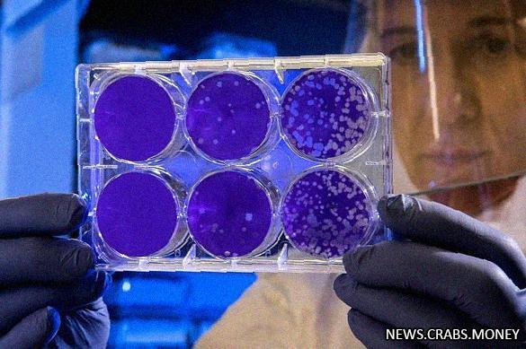 Ученые: Зомби-вирусы из Сибири могут вызвать угрозу пандемии