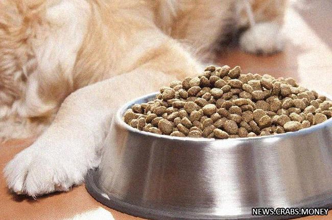 Питание для кошек и собак подорожает в России.