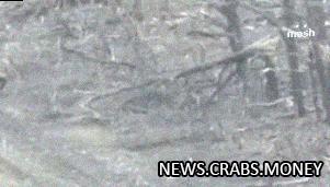 Демонстрация: российский боец показал, как уничтожить украинский дрон с помощью огурцов