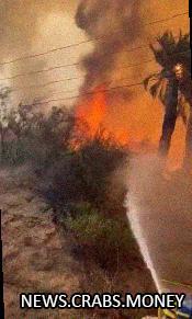 Масштабные лесные пожары в Чили унесли жизни 46 человек
