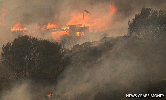 99 человек погибли в результате лесных пожаров в Чили