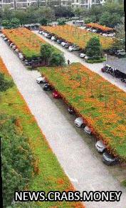 Крытые парковки с зелеными крышами в Наньнине