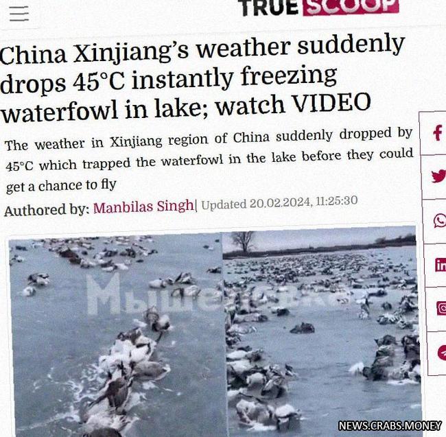Резкое падение температуры в Синцзяне: -52,3 за два дня