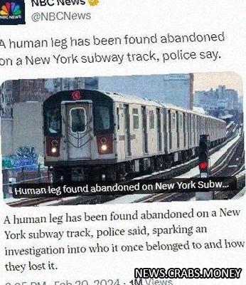 В метро Нью-Йорка найдена забытая человеческая нога