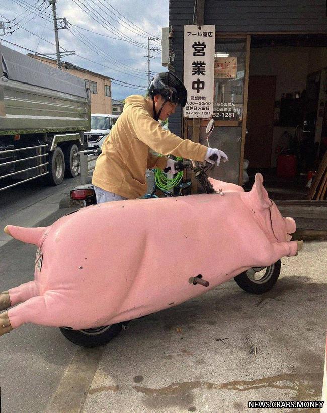 В Японии создали свиноцикл: мотоцикл с элементами свиньи 