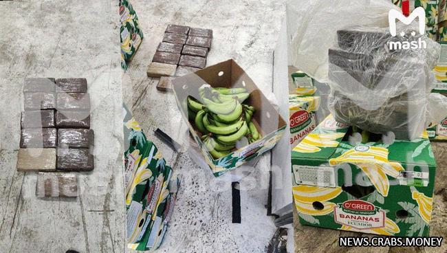 В Питере нашли 11 кг кокаина в партии бананов из ЕС