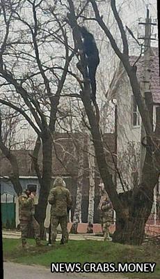 Мужчина залез на дерево, беглец от ТЦК.