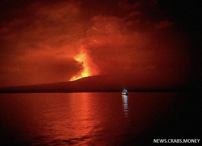 Извержение вулкана Ла-Кумбре на острове Фернандина в Галапагосах