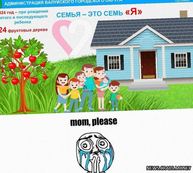 Семьям в Белгородской области дарят теплицы и саженцы за рождение пятого ребенка. Ждем новых семен.
