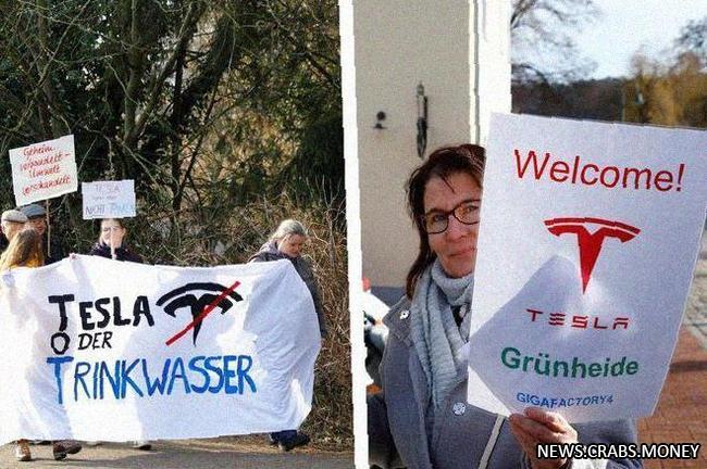 Экоактивисты против Tesla: лагерь в лесу Грюнхайде!