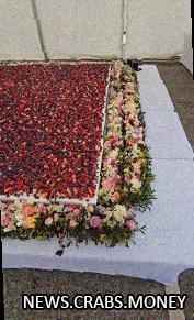 В Сочи создан самый большой ягодный торт: 623 кг, 4 м, 2,4 м, 13 см