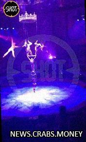 Гимнастка рухнула с кольца на шоу цирка в Новосибирске