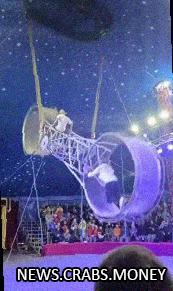 Акробат упал с колеса в цирке в Приморье.
