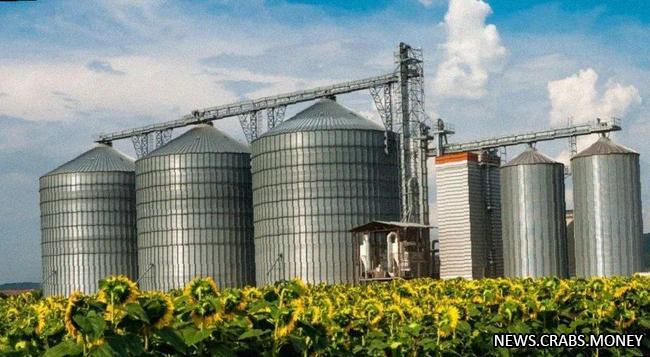 Производитель масла в Молдове приостановил работу из-за нехватки сырья