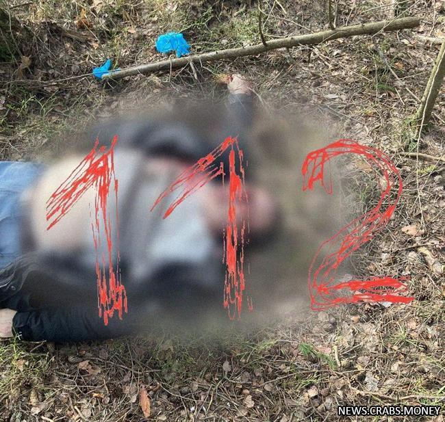 Трагедия в Подмосковье: убит полицейский, двое ранены, стрелок скрывается на байкеные