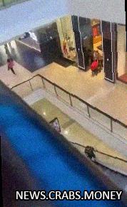 Шесть человек погибли в нападении в торговом центре в Сиднее