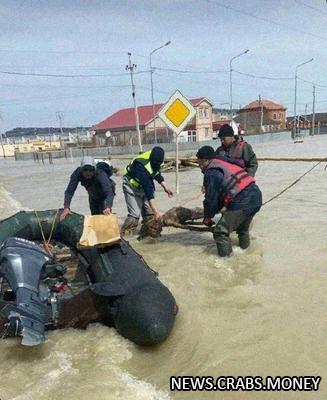 Наводнение размыло кладбища: трупы плавают по улицам 