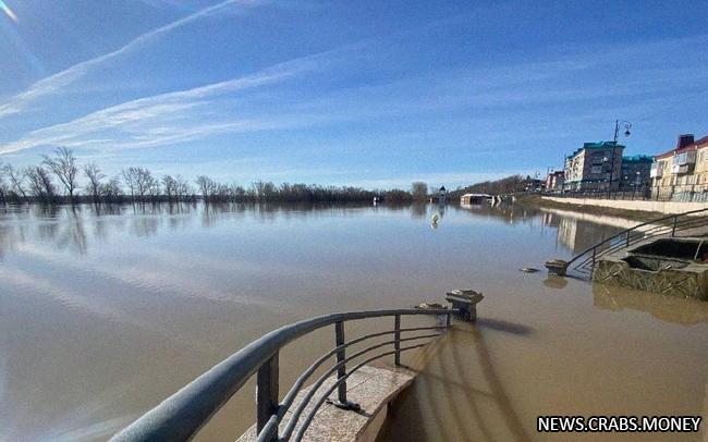 Уровень воды в реке Ишим за сутки вырос на 13 см до 1064 см