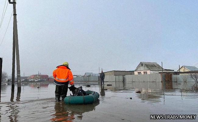 Более 700 домов и 2 тысячи участков избавлены от воды в Оренбургской области