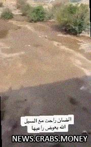 Наводнение в Саудовской Аравии: овцы плывут в реке