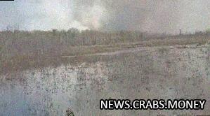 Лесные пожары в Хабаровском крае усиливаются