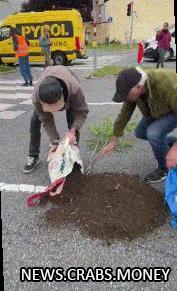 Экоактивисты перекрыли дорогу в Инсбурге