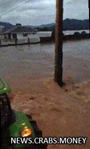 Бразилия: 55 человек погибли из-за проливных дождей