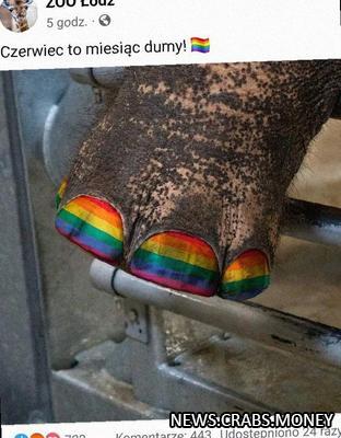 Слону в польском зоопарке сделали маникюр в стиле Pride 