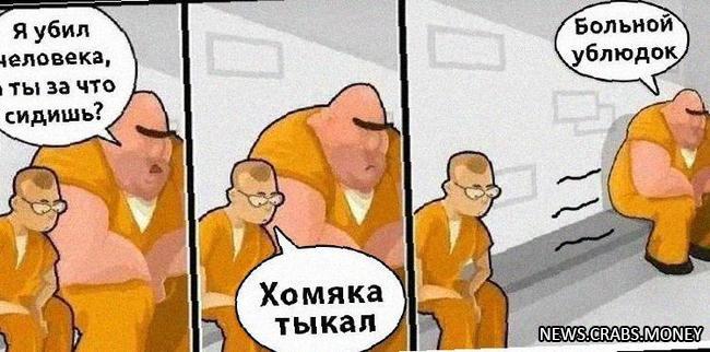 Пользователей Hamster Combat в Узбекистане могут арестовать и оштрафовать