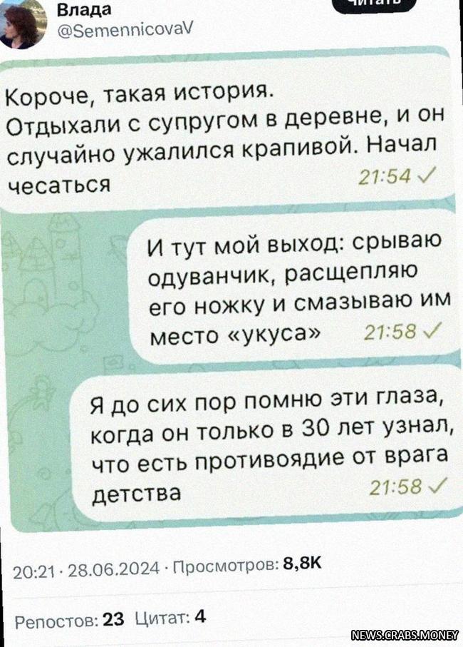 Одуванчик поможет при укусах крапивы.