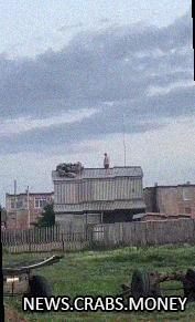Овцы в Омске оказались на крыше здания и не могли спуститься