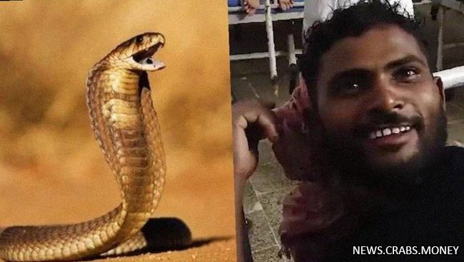 Мужчина убил змею, укусив её в ответ дважды.