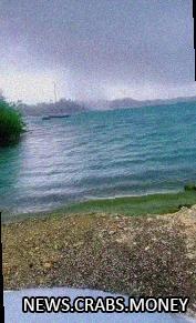 Рыбы взлетели из-за водяного смерча у Гваделупы