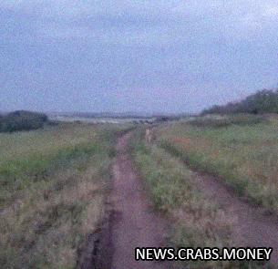 Кенгуру по кличке Сидней совершил побег из зоопарка