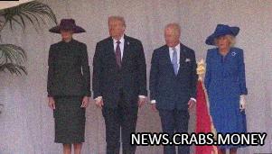 Конь из почётного караула насрал прямо на глазах Трампа и короля: что случилось дальше?