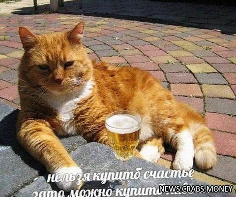 Россияне впили 2 млрд л пива летом: СМИ