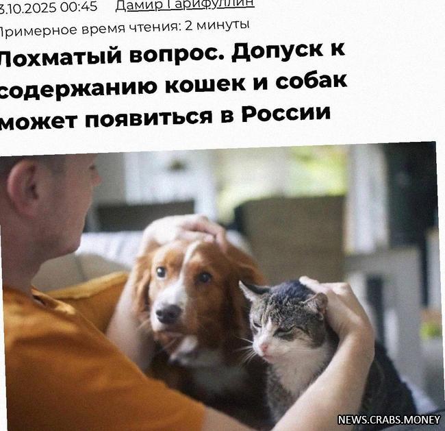 В России планируют ввести специальный допуск на содержание котов и собак